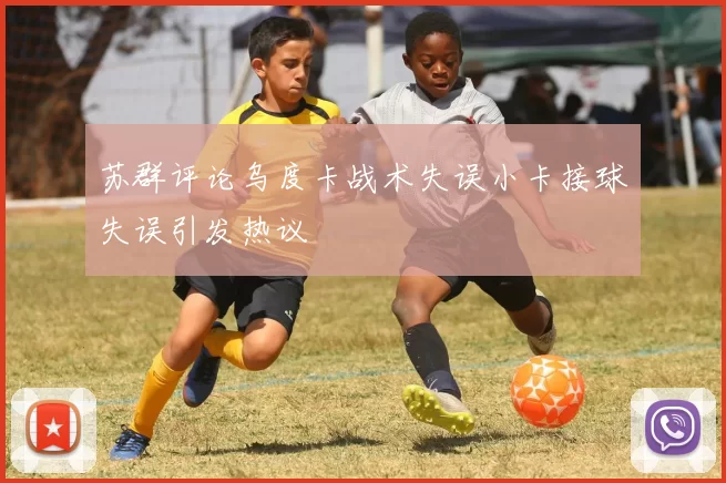 苏群评论乌度卡战术失误小卡接球失误引发热议